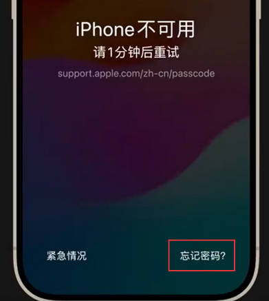 东英镇苹果手机密码维修分享iPhone忘记了刚设置的密码 