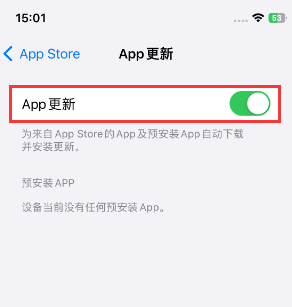 东英镇苹果15维修中心如何让iPhone15APP自动更新