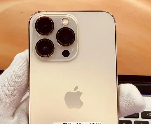 东英镇苹果13维修中心分享如何在iPhone13上设置动态壁纸